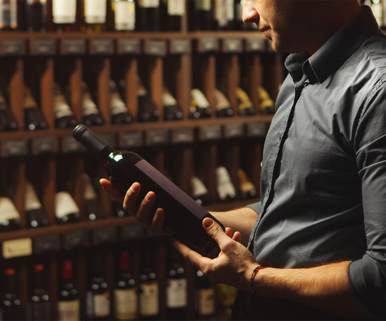 WineSkin the world's best bottle transport bag